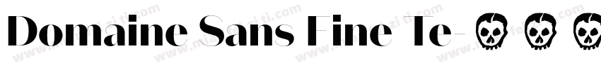 Domaine Sans Fine Te字体转换
